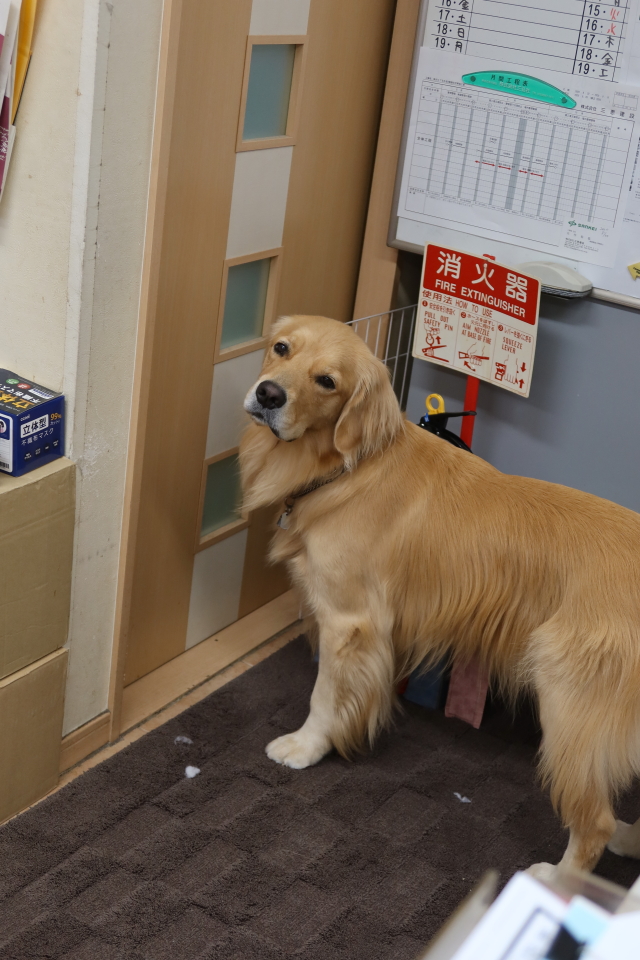 ファイル 7754-4.jpg