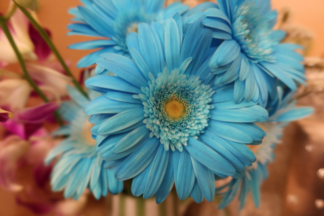 ファイル 7757-3.jpg