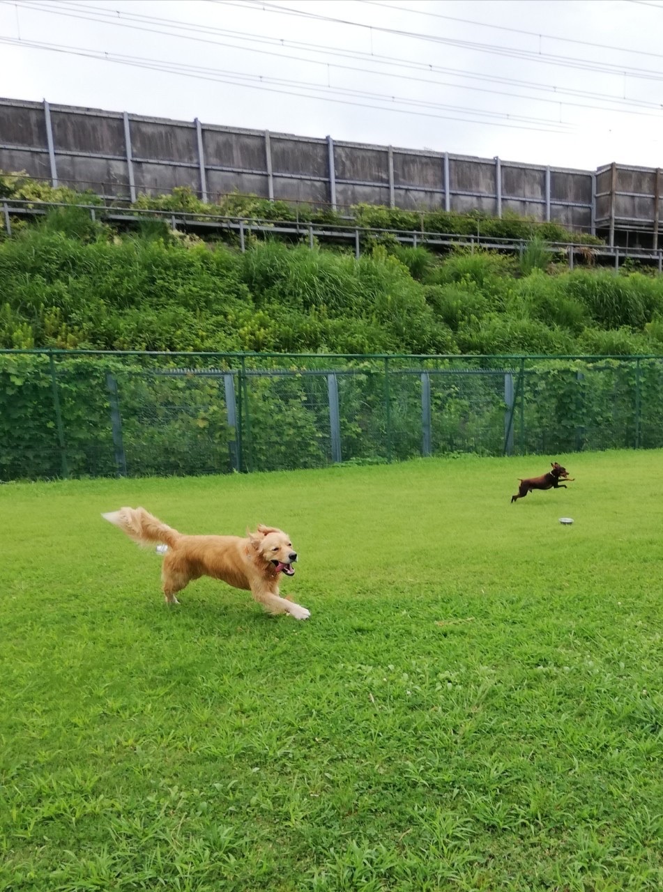 ファイル 7758-2.jpg