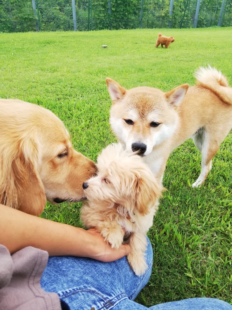 ファイル 7758-3.jpg