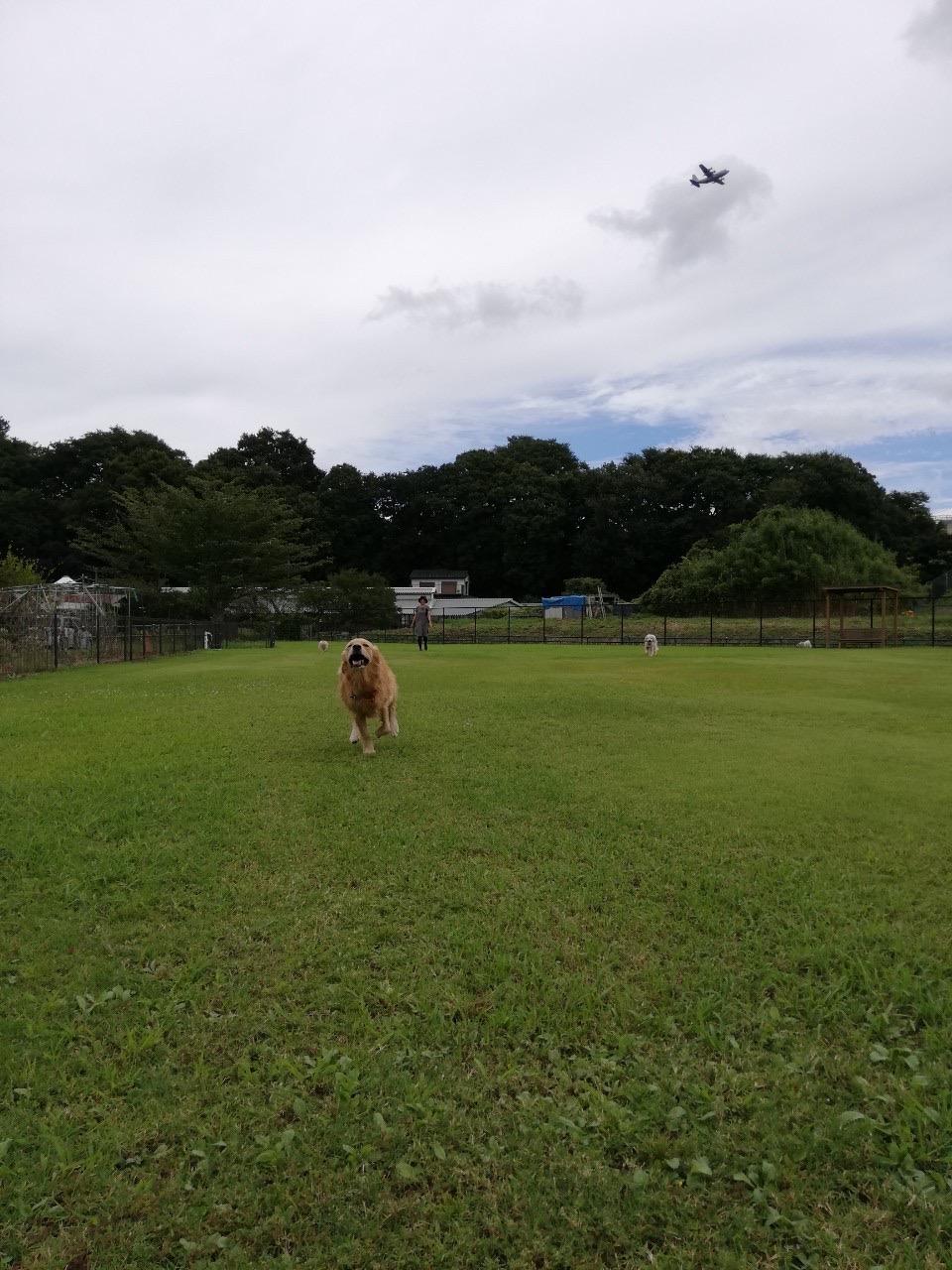 ファイル 7758-5.jpg