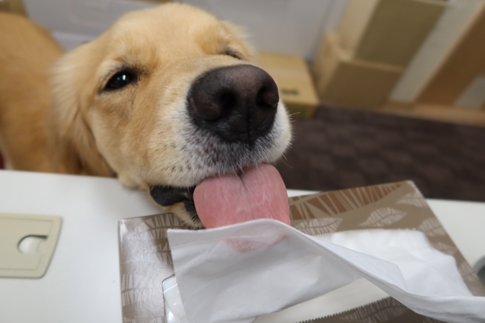 ファイル 7761-1.jpg