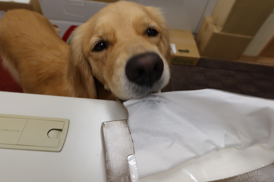 ファイル 7761-3.jpg