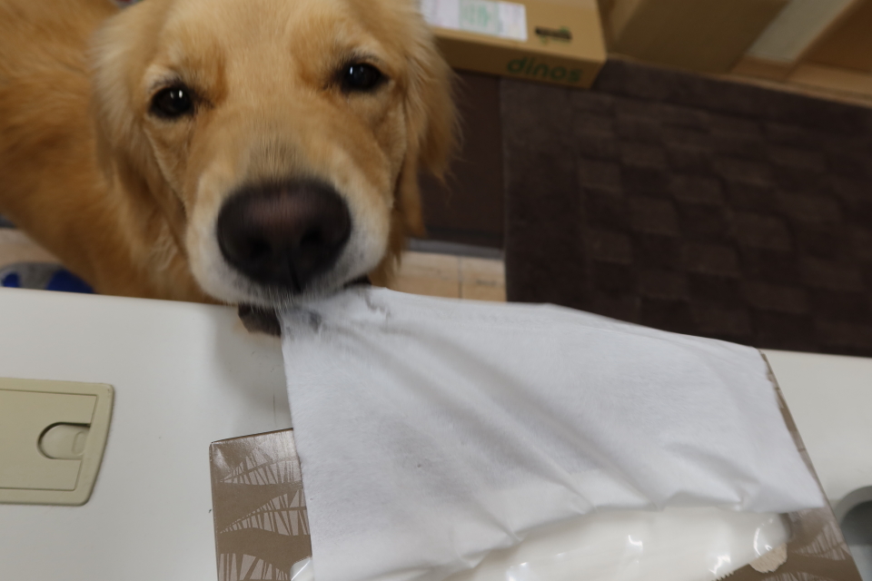 ファイル 7761-4.jpg