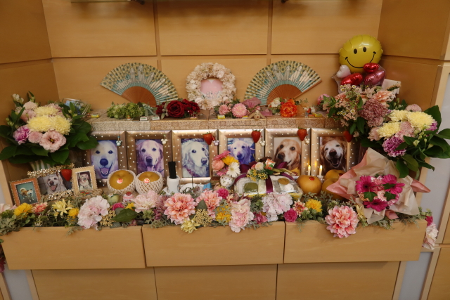 ファイル 7764-1.jpg