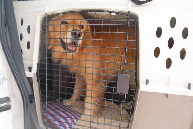 ファイル 7765-1.jpg