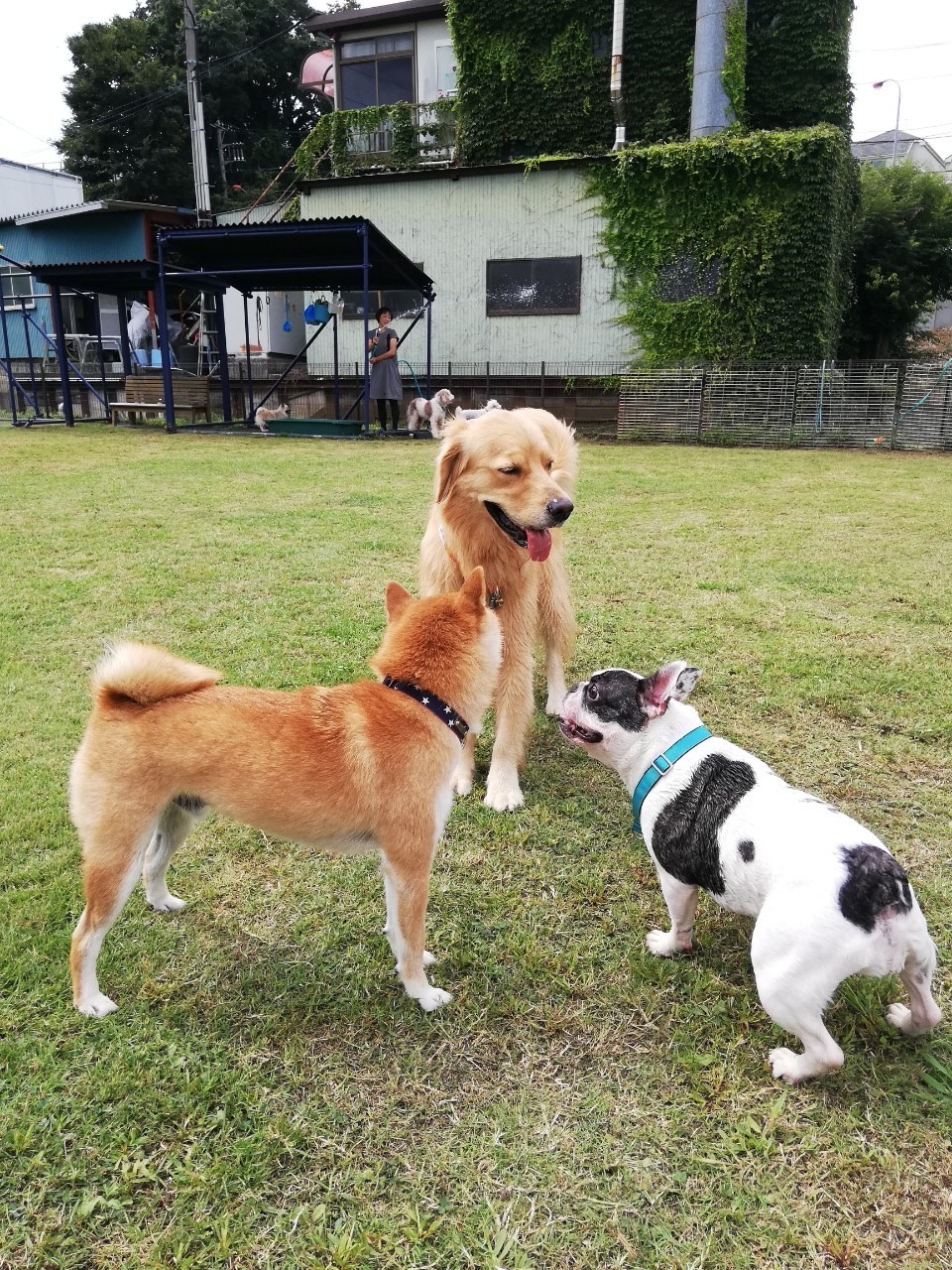 ファイル 7765-2.jpg