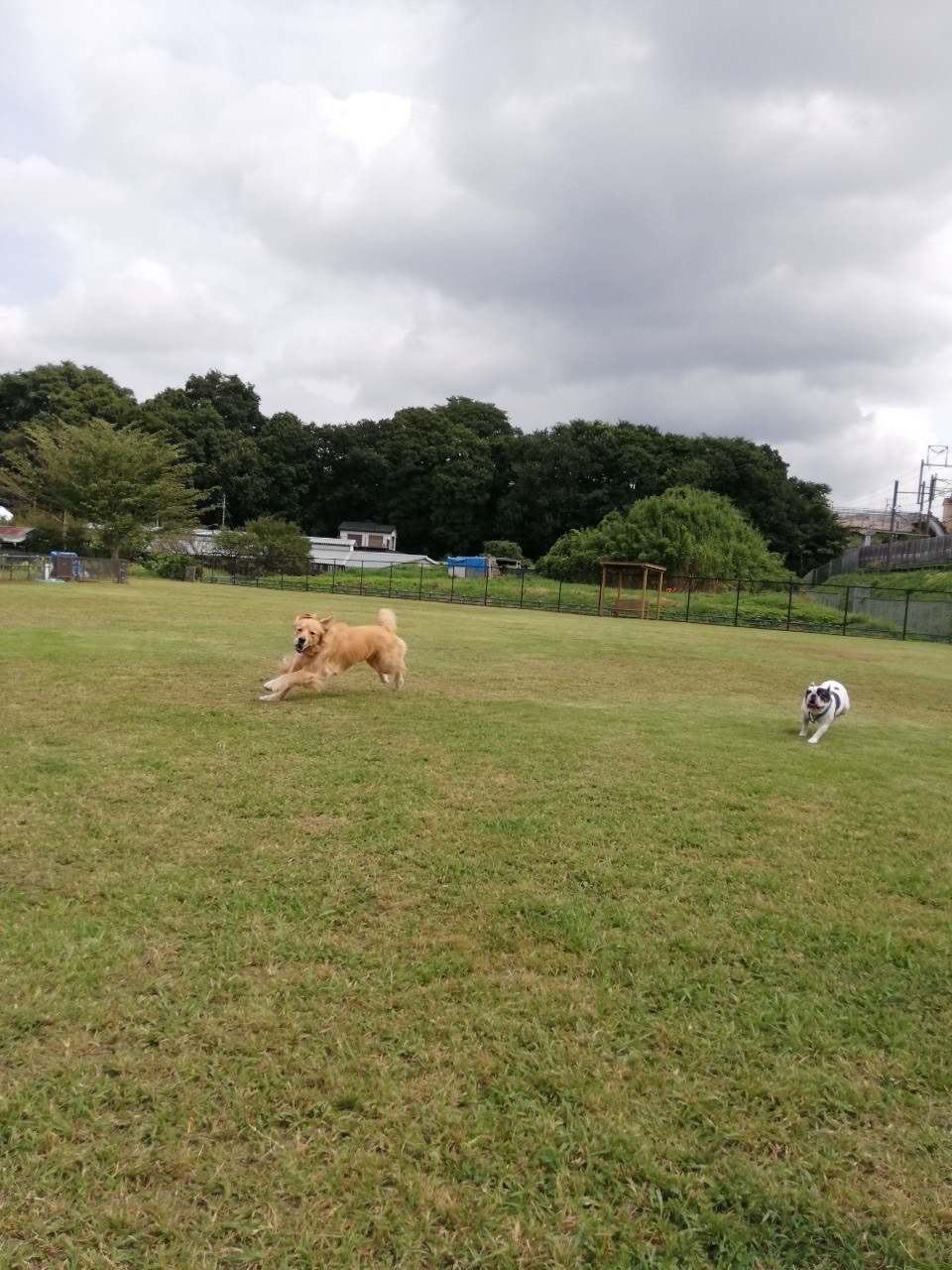 ファイル 7765-4.jpg