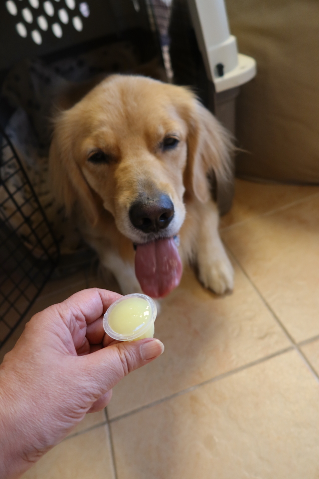 ファイル 7768-4.jpg