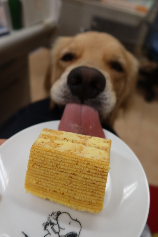 ファイル 7768-5.jpg