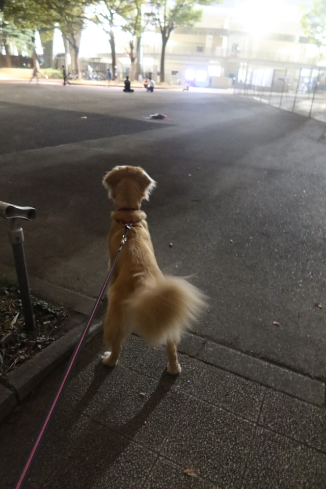 ファイル 7769-3.jpg