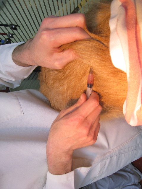 ファイル 777-1.jpg