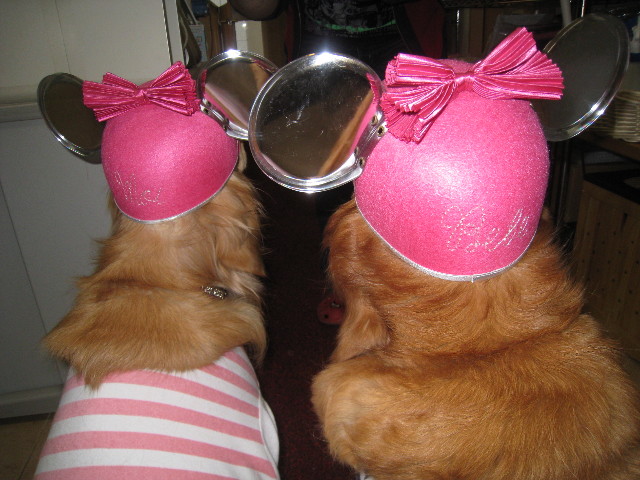 ファイル 777-4.jpg