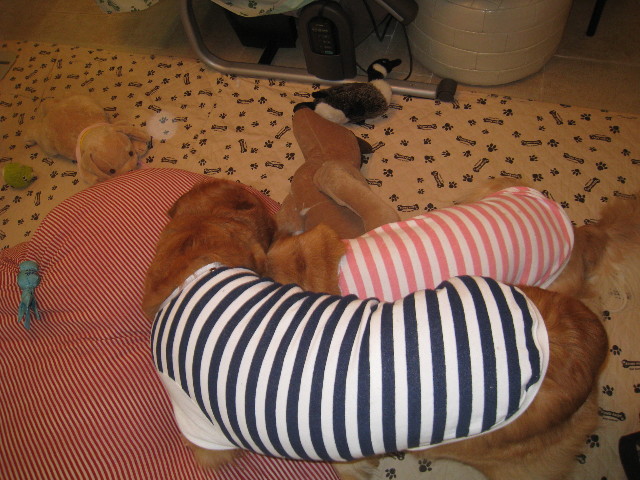 ファイル 777-5.jpg