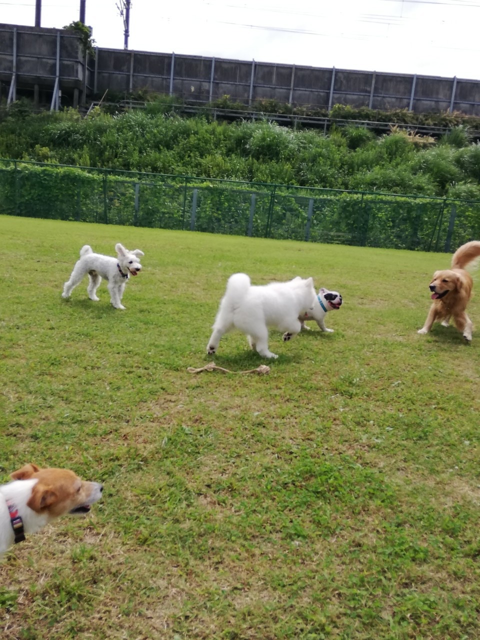 ファイル 7772-2.jpg