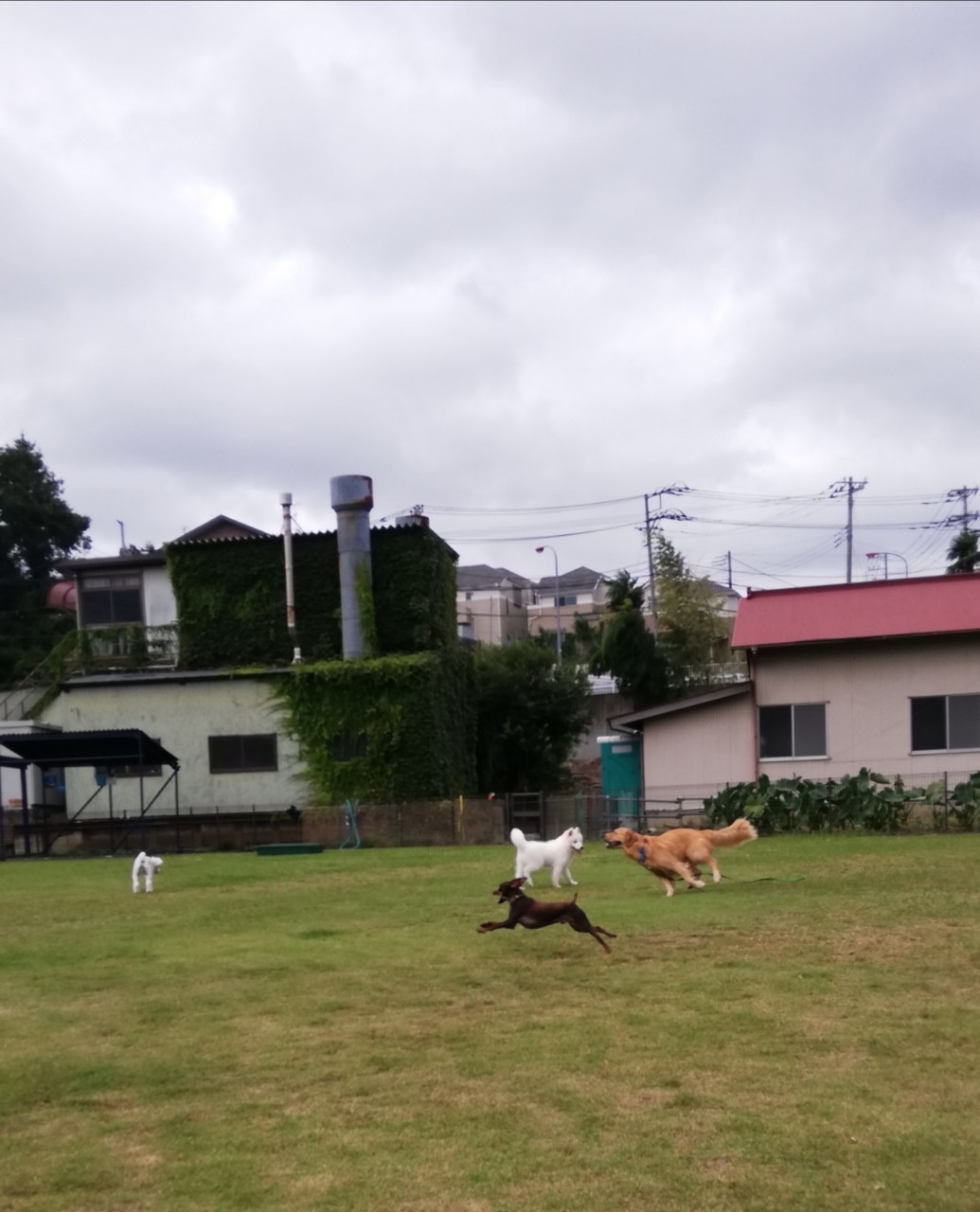 ファイル 7772-3.jpg