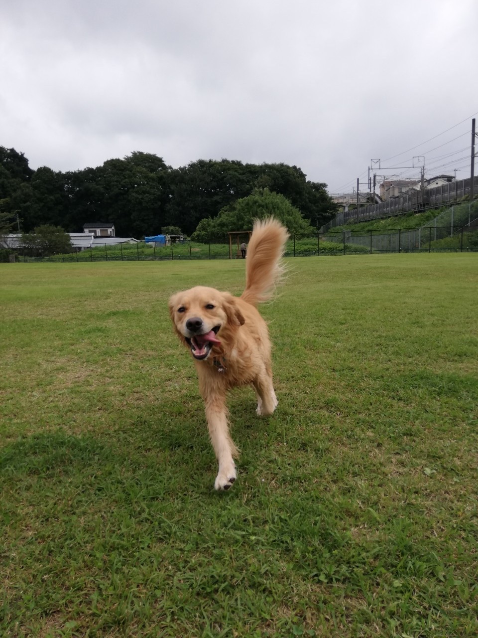 ファイル 7772-5.jpg