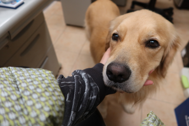 ファイル 7775-3.jpg