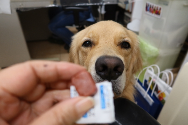 ファイル 7775-4.jpg