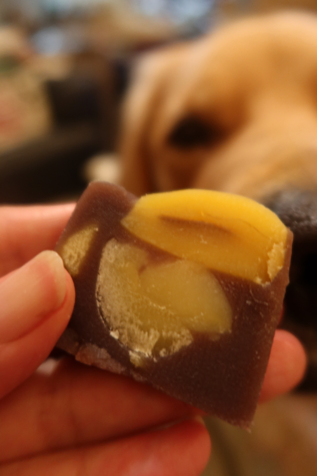 ファイル 7776-4.jpg