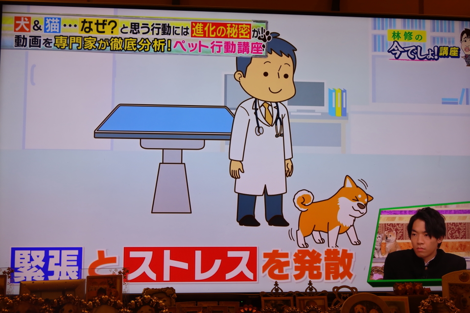 ファイル 7777-4.jpg