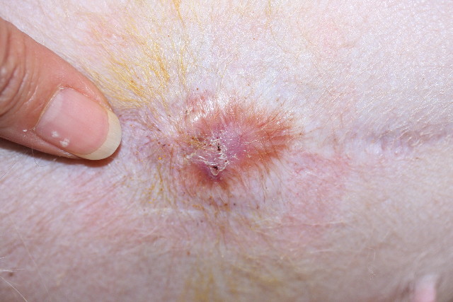 ファイル 778-1.jpg