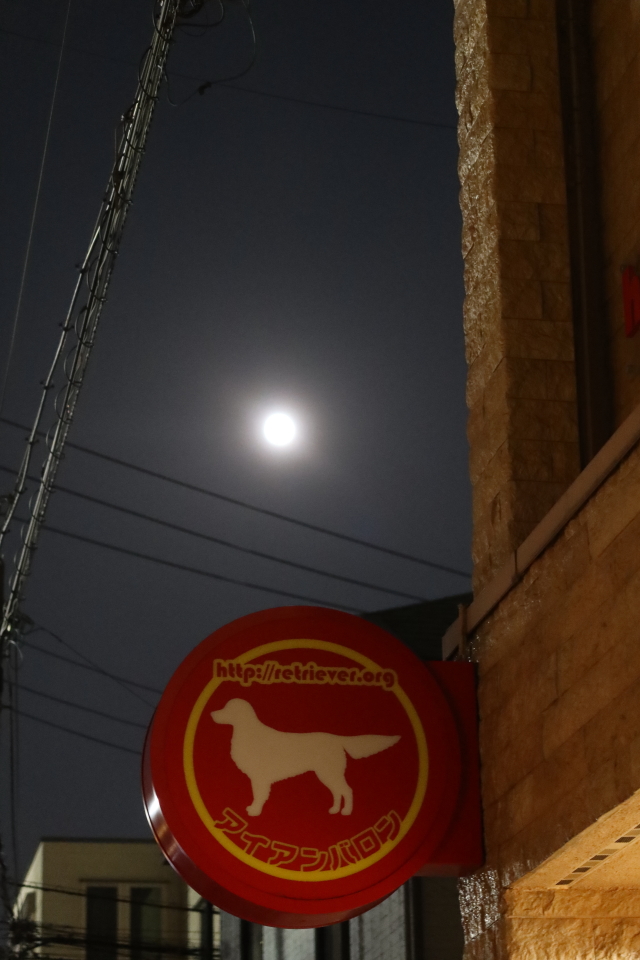 ファイル 7781-2.jpg