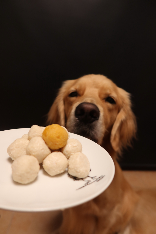 ファイル 7781-3.jpg