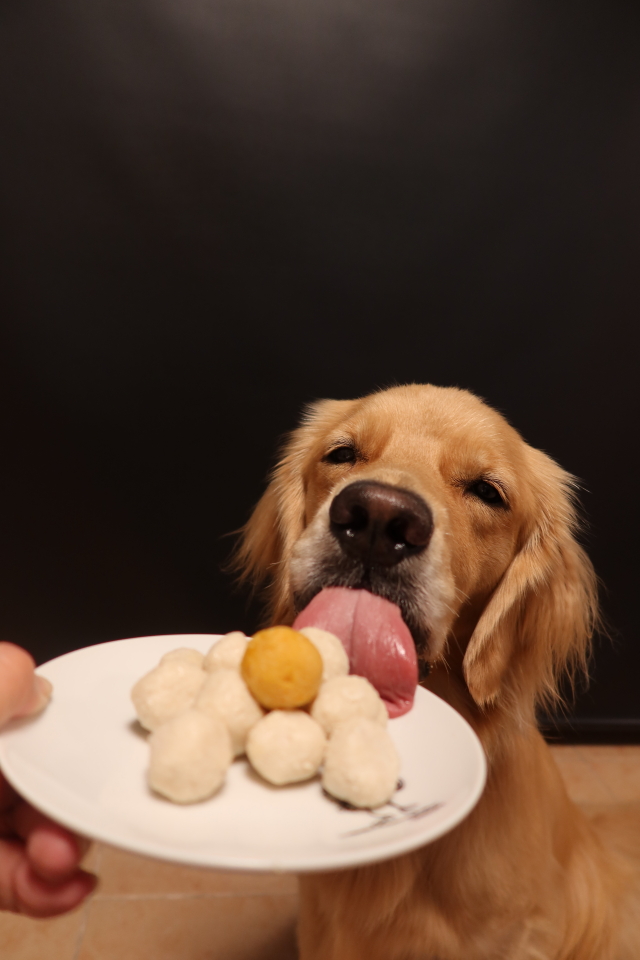 ファイル 7781-4.jpg