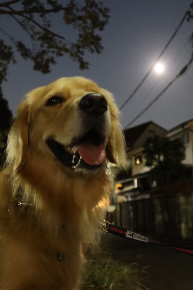 ファイル 7781-5.jpg