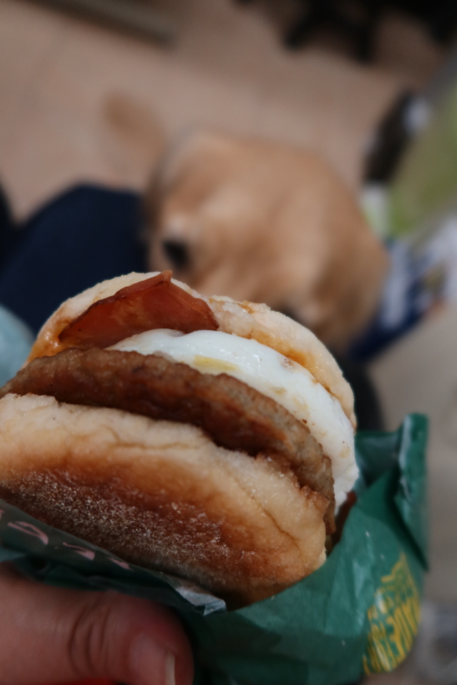 ファイル 7783-4.jpg