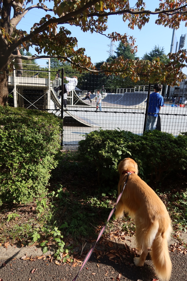 ファイル 7784-2.jpg