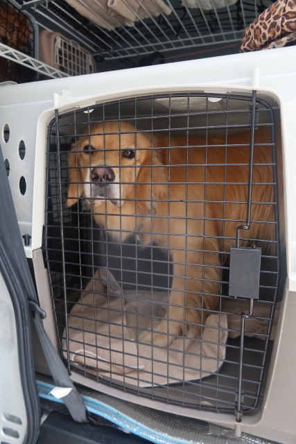 ファイル 7788-1.jpg