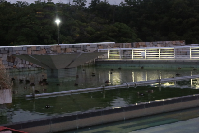 ファイル 7788-4.jpg