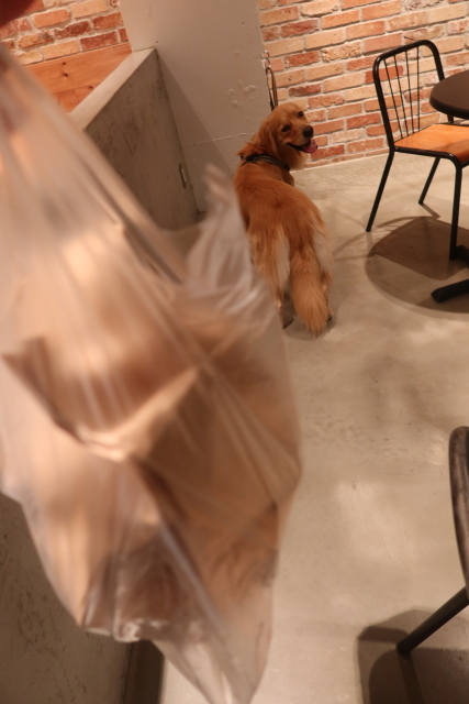 ファイル 7788-5.jpg