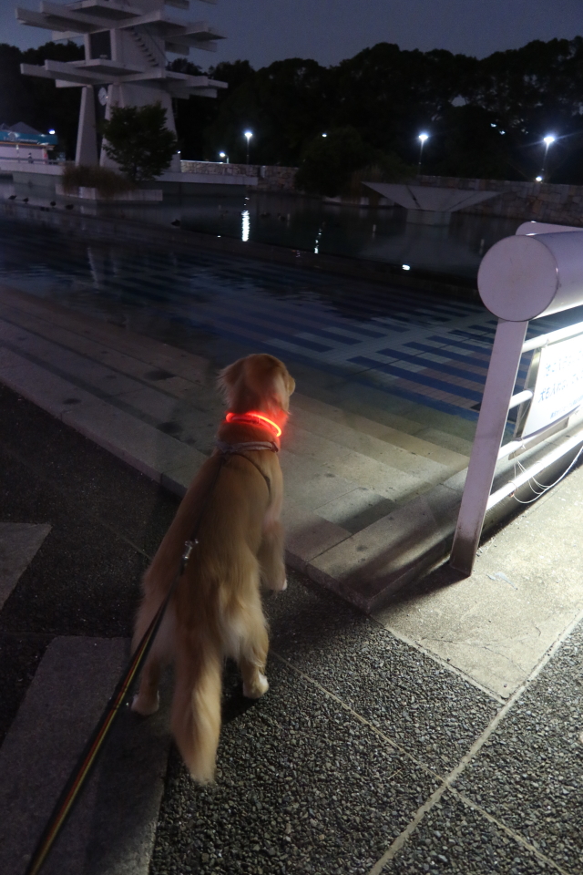 ファイル 7795-5.jpg