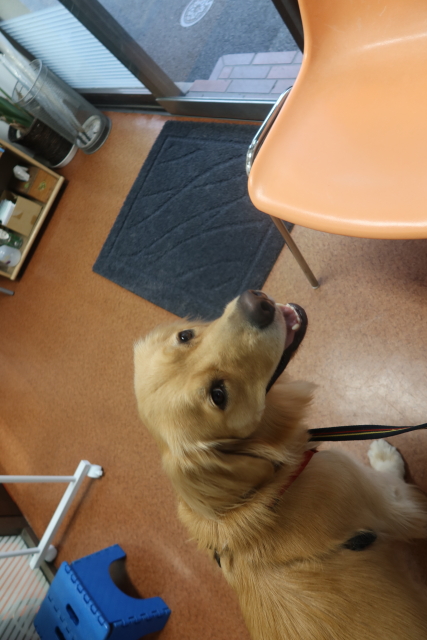 ファイル 7797-3.jpg