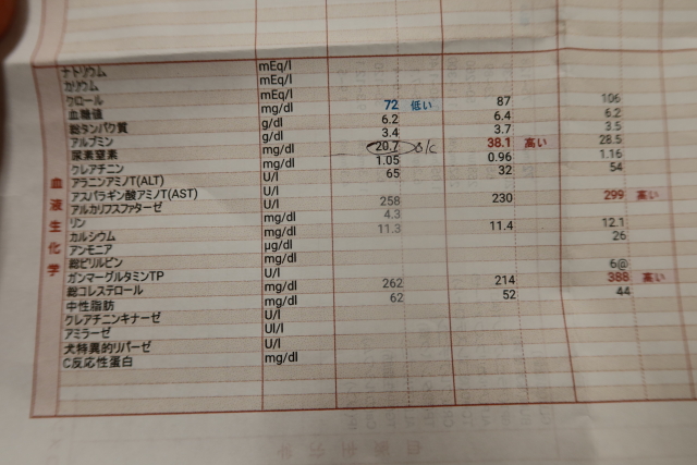 ファイル 7797-4.jpg