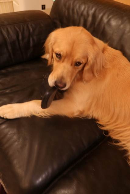 ファイル 7798-4.jpg