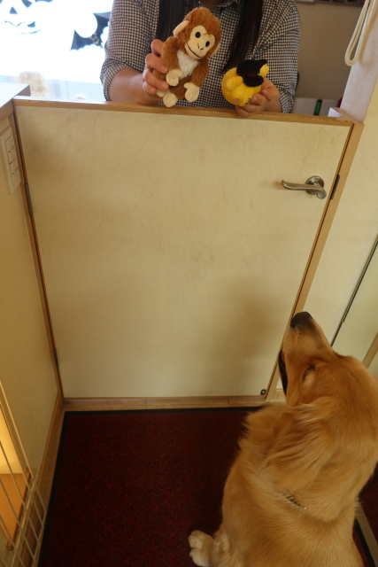 ファイル 7799-1.jpg