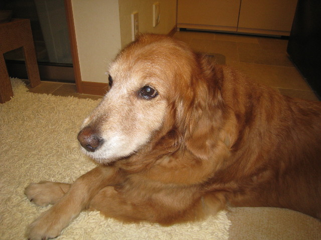 ファイル 780-5.jpg