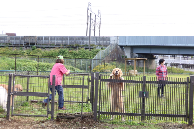 ファイル 7802-1.jpg