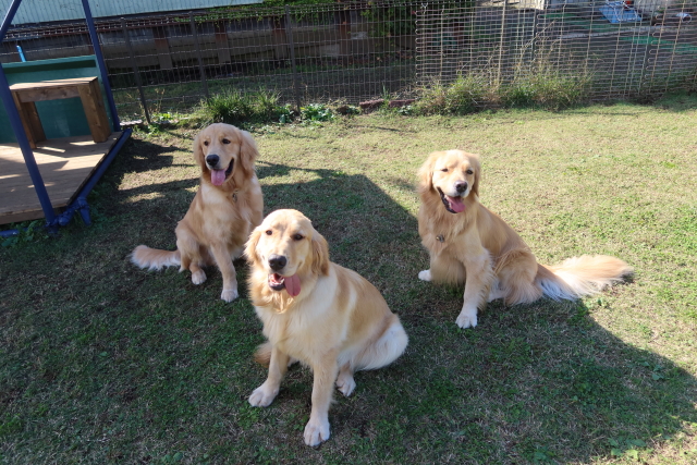 ファイル 7802-3.jpg