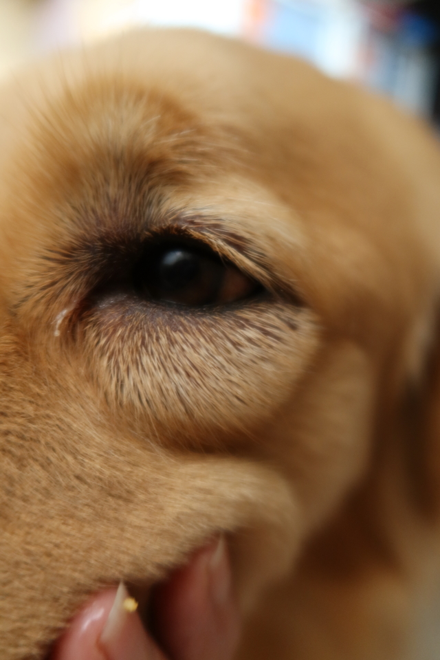 ファイル 7804-1.jpg