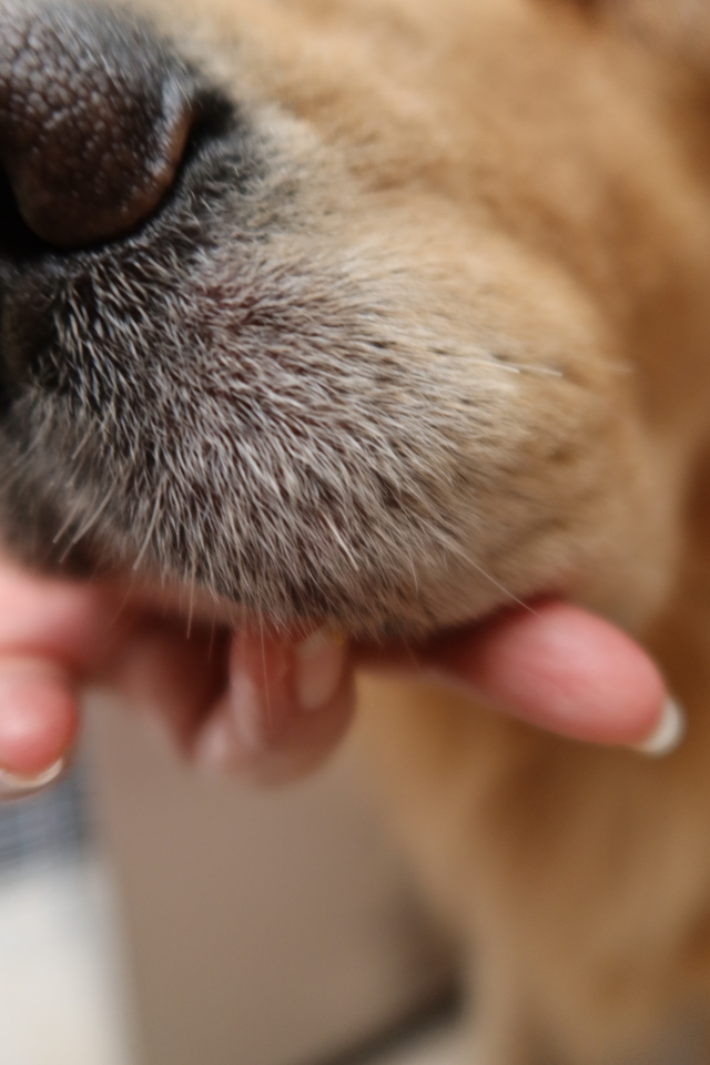 ファイル 7804-2.jpg