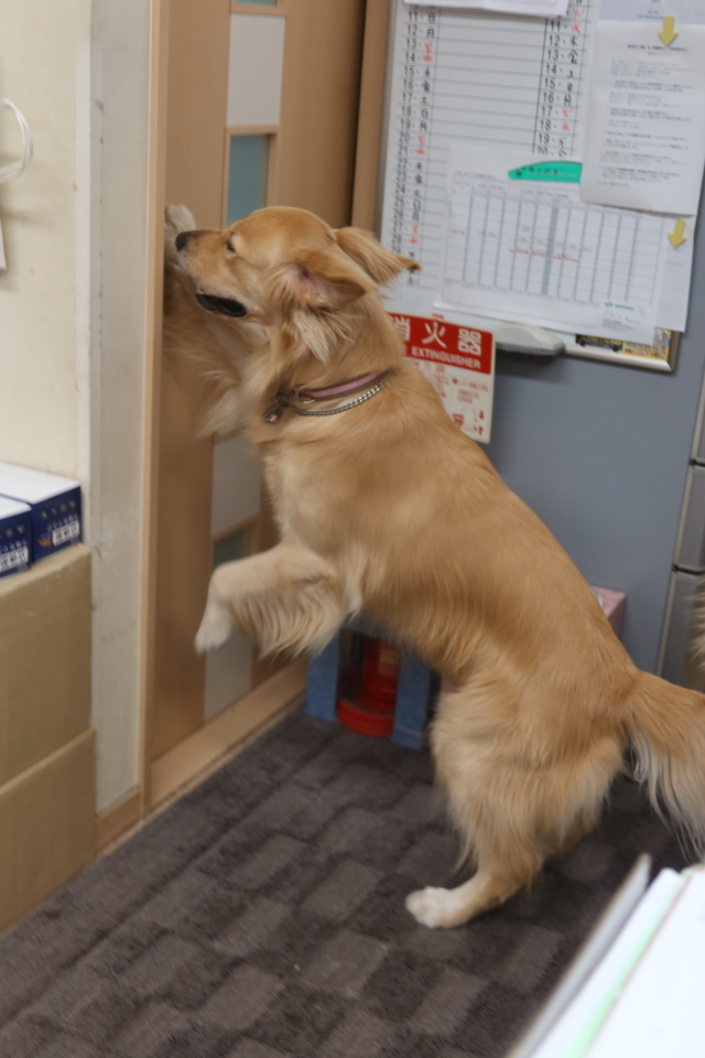 ファイル 7805-3.jpg