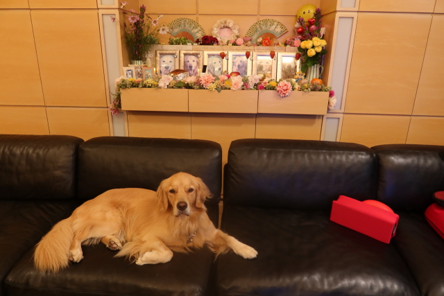 ファイル 7808-1.jpg