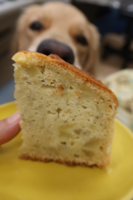 ファイル 7808-4.jpg