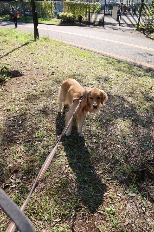 ファイル 7809-3.jpg