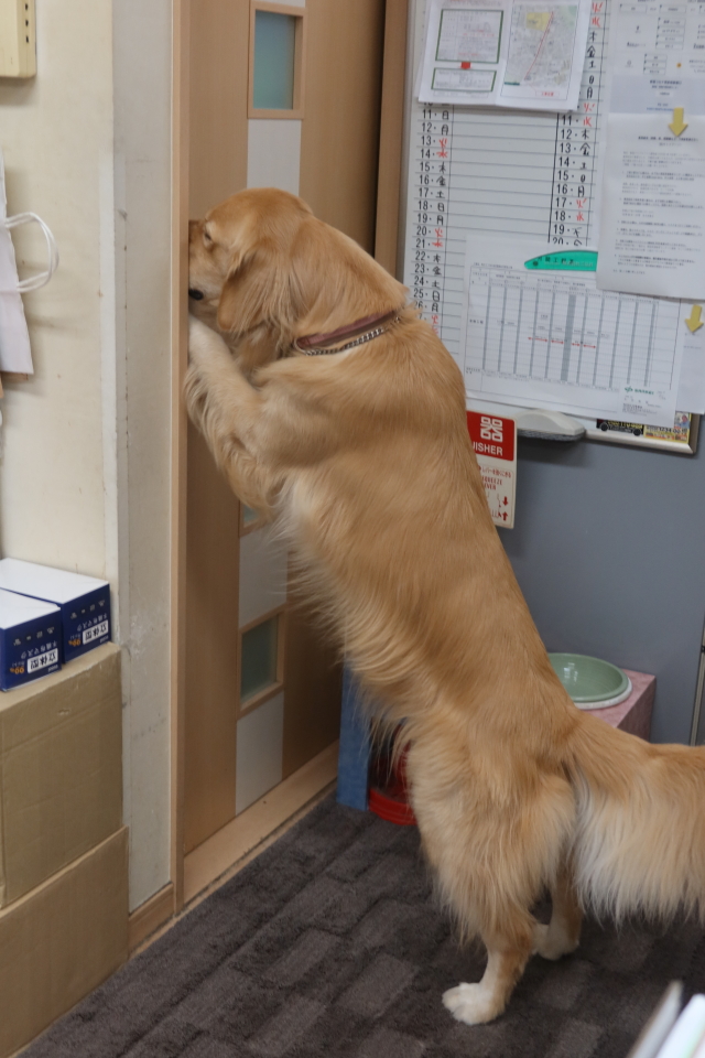 ファイル 7809-5.jpg